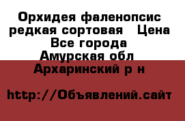 Орхидея фаленопсис редкая сортовая › Цена ­ 800 - Все города  »    . Амурская обл.,Архаринский р-н